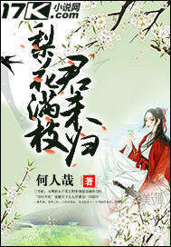 梨花满枝君未归