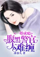 一婚成瘾，腹黑警官太难缠