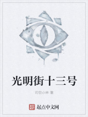光明街十三号