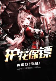 护花保镖(合作)