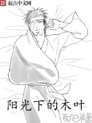 阳光下的木叶