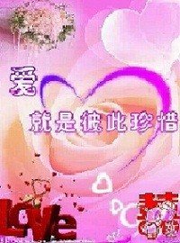 网来的老公