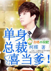 单身总裁，喜当爹！