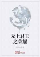 无上君王之荣耀