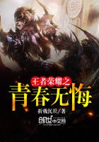 王者荣耀之青春无悔