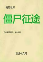 我的世界：僵尸征途