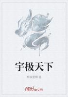 宇极天下