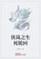 侠岚之生死轮回
