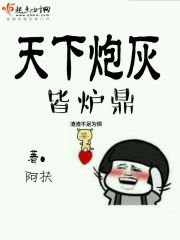 天下炮灰皆炉鼎