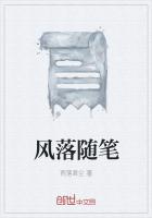 风落随笔