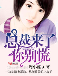 总裁来了，你别慌