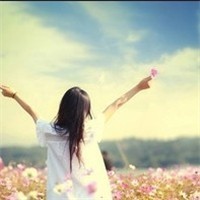 恋上复仇樱花公主