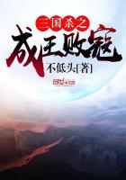 三国杀之成王败寇