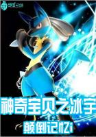 神奇宝贝之冰宇