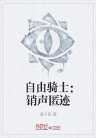 自由骑士：销声匿迹