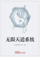 无限天道系统
