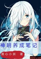 神明养成笔记