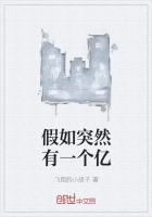 假如突然有一个亿