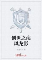 创世之疾风龙影