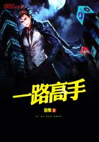 一路高手