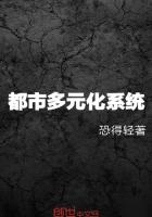都市多元化系统