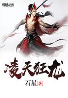 凌天狂龙