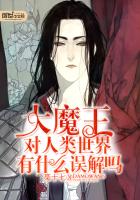 大魔王对人类世界有什么误解吗