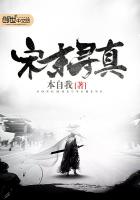 宋末寻真