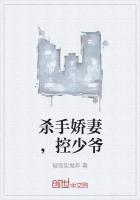杀手娇妻，控少爷