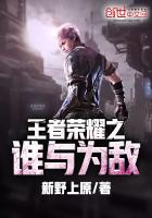 王者荣耀之谁与为敌