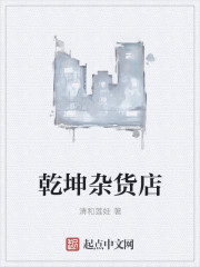 乾坤杂货店