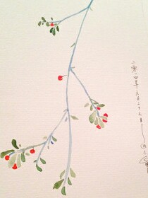 一念芳华
