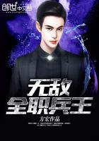 无敌全职兵王