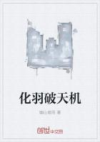 化羽破天机