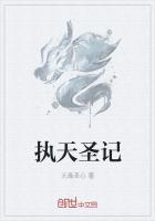 执天圣记