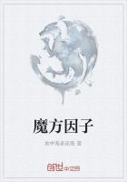 魔方因子
