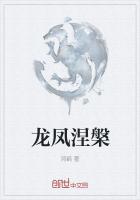 龙凤涅盘
