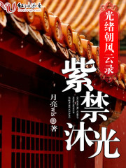紫禁沐光