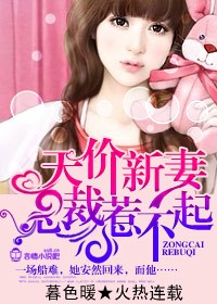 天价新妻，总裁惹不起