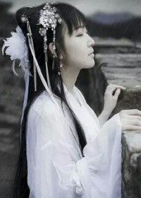 泪曲依夜尽