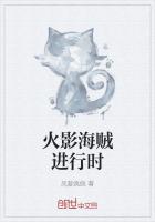 火影海贼进行时