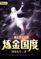 魔法世纪中的炼金国度