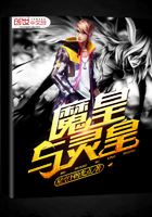 魔皇与灵皇