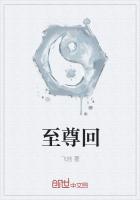 至尊回