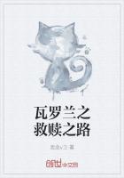 瓦罗兰之救赎之路