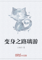 变身之路璃游