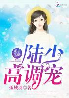 重生医师：陆少高调宠
