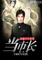 穿越平行世界当市长