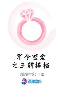 军令蜜爱之王牌搭档