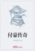 付豪传奇